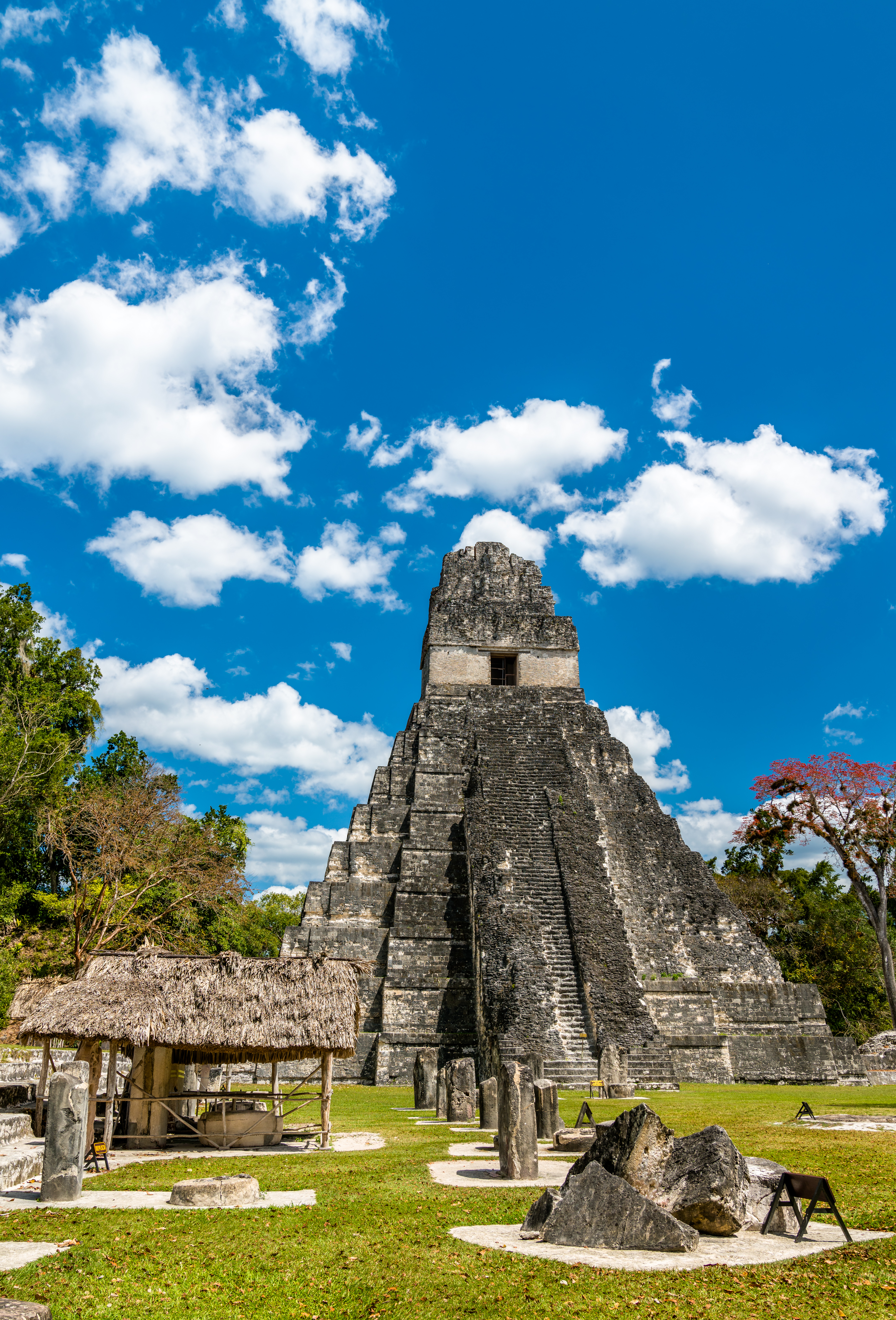 TIKAL